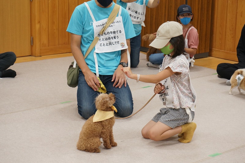 ほごいぬふれあい会